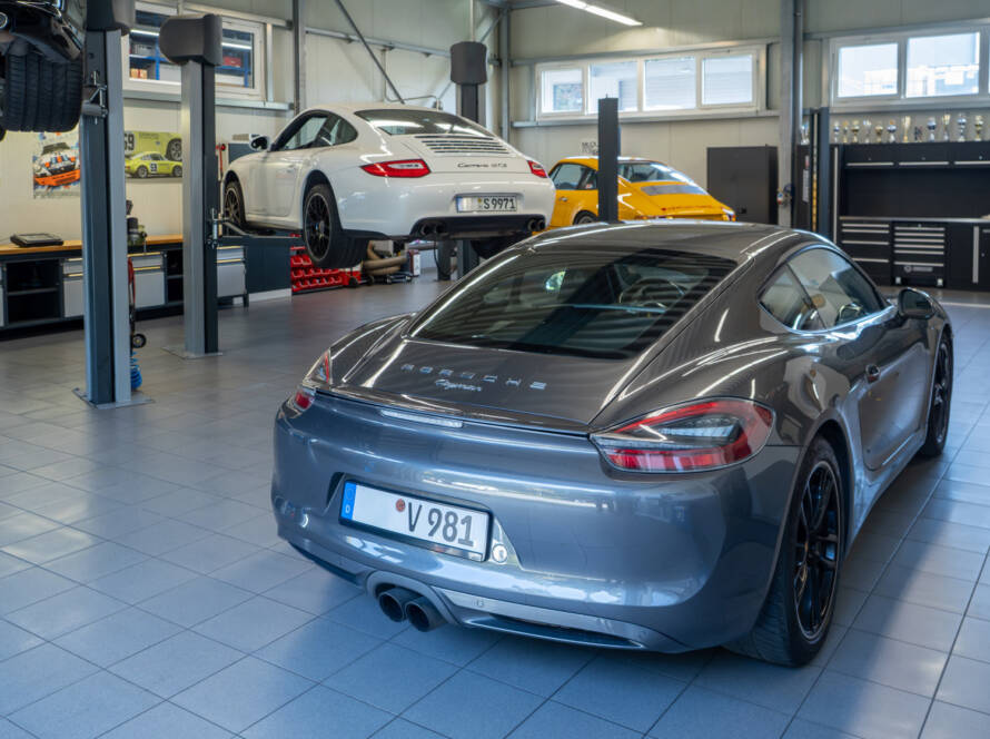 Porsche Cayman, Typ 981